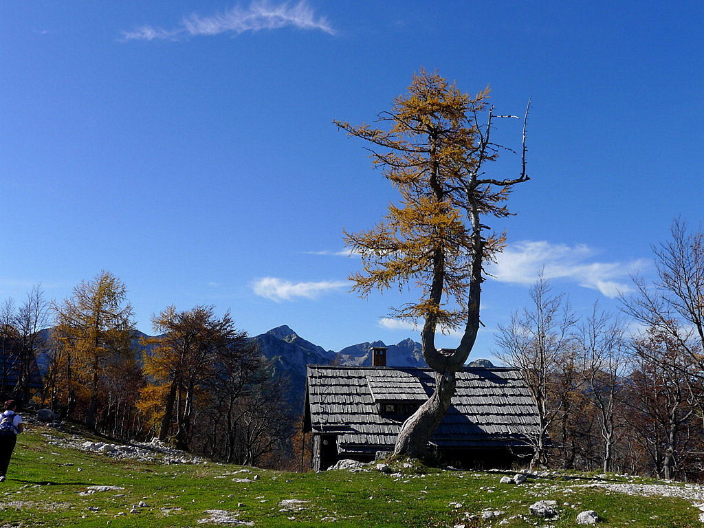 Bohinj Lake